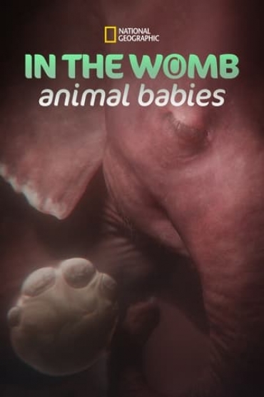 In the Womb Animal Babies